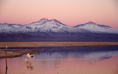 The Chilean Altiplano in  11 days – 10 nights