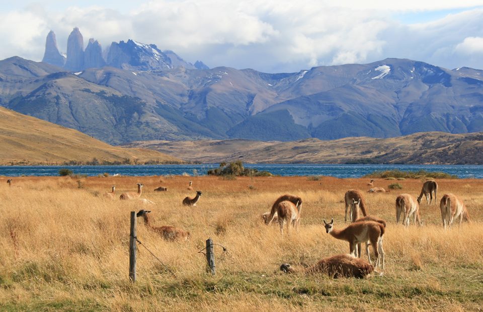 How to get from El Calafate to Torres del Paine